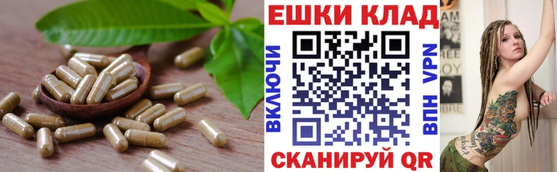 ЭКСТАЗИ Дубай Бокситогорск