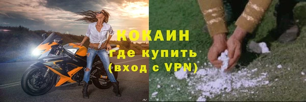сатива Белокуриха