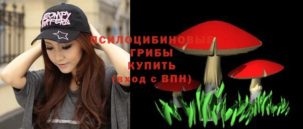 сатива Белокуриха