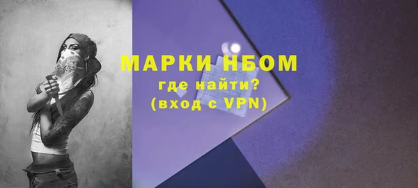 сатива Белокуриха