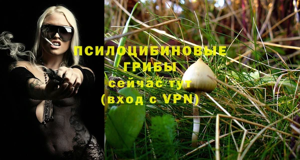 сатива Белокуриха