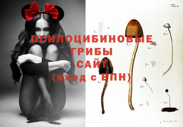 сатива Белокуриха